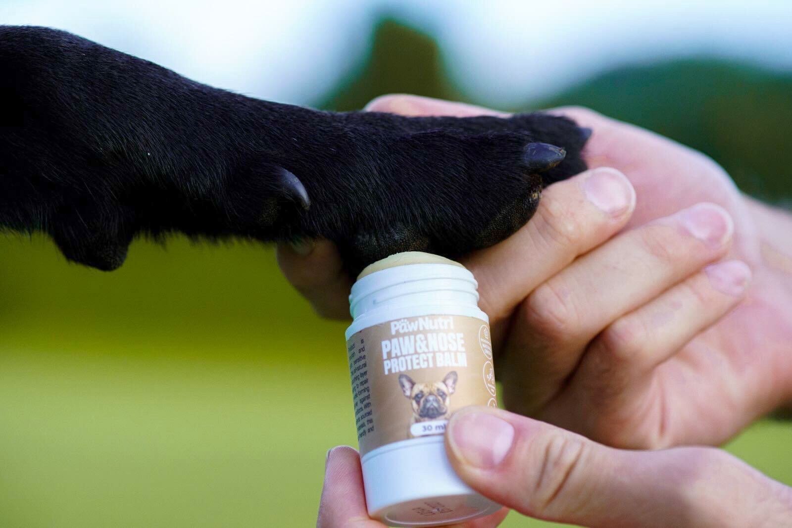 Paw & Nose Protect Balm