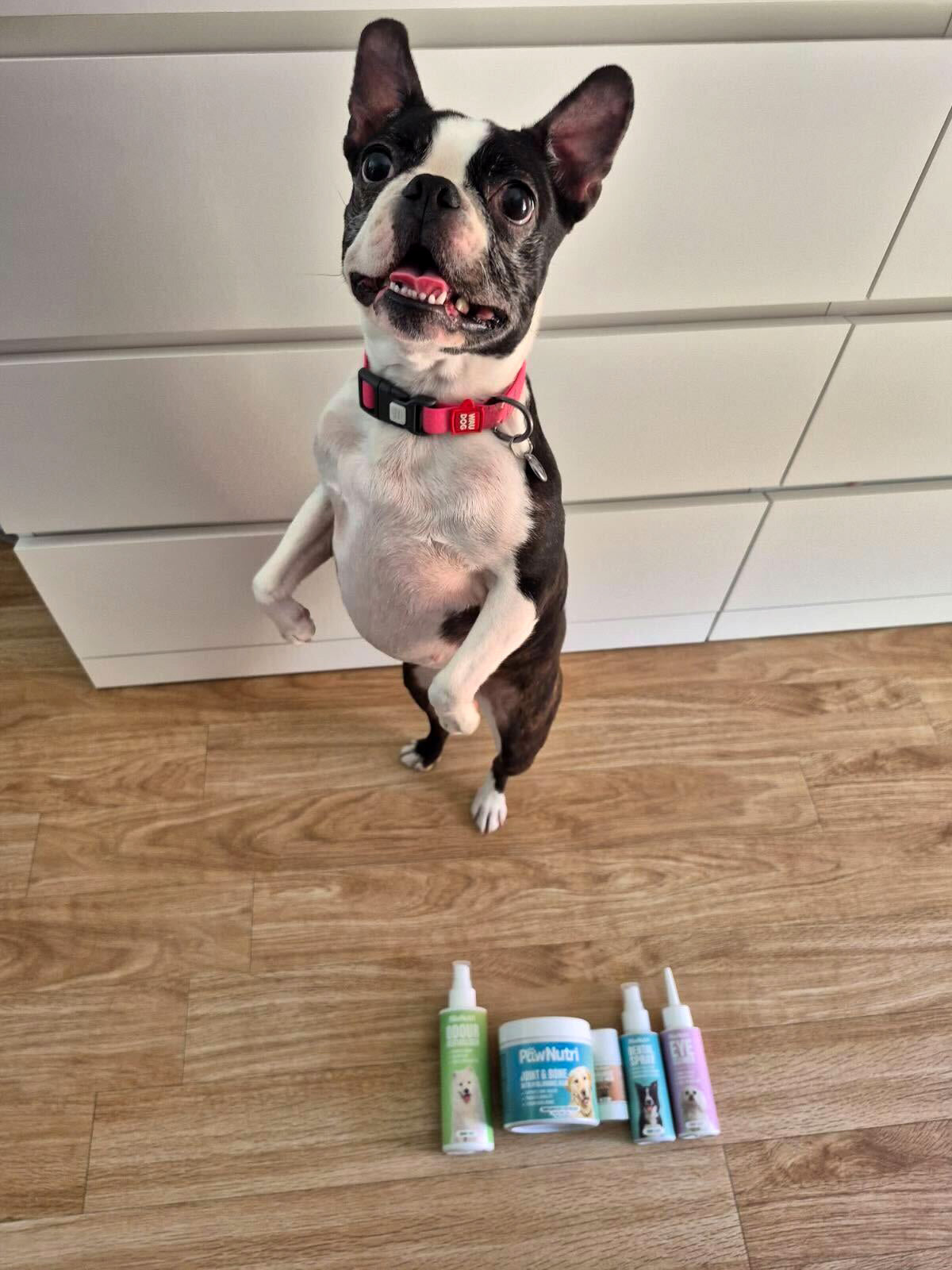 Paw & Nose Protect Balm