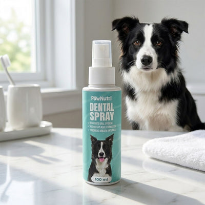 Dental Spray
