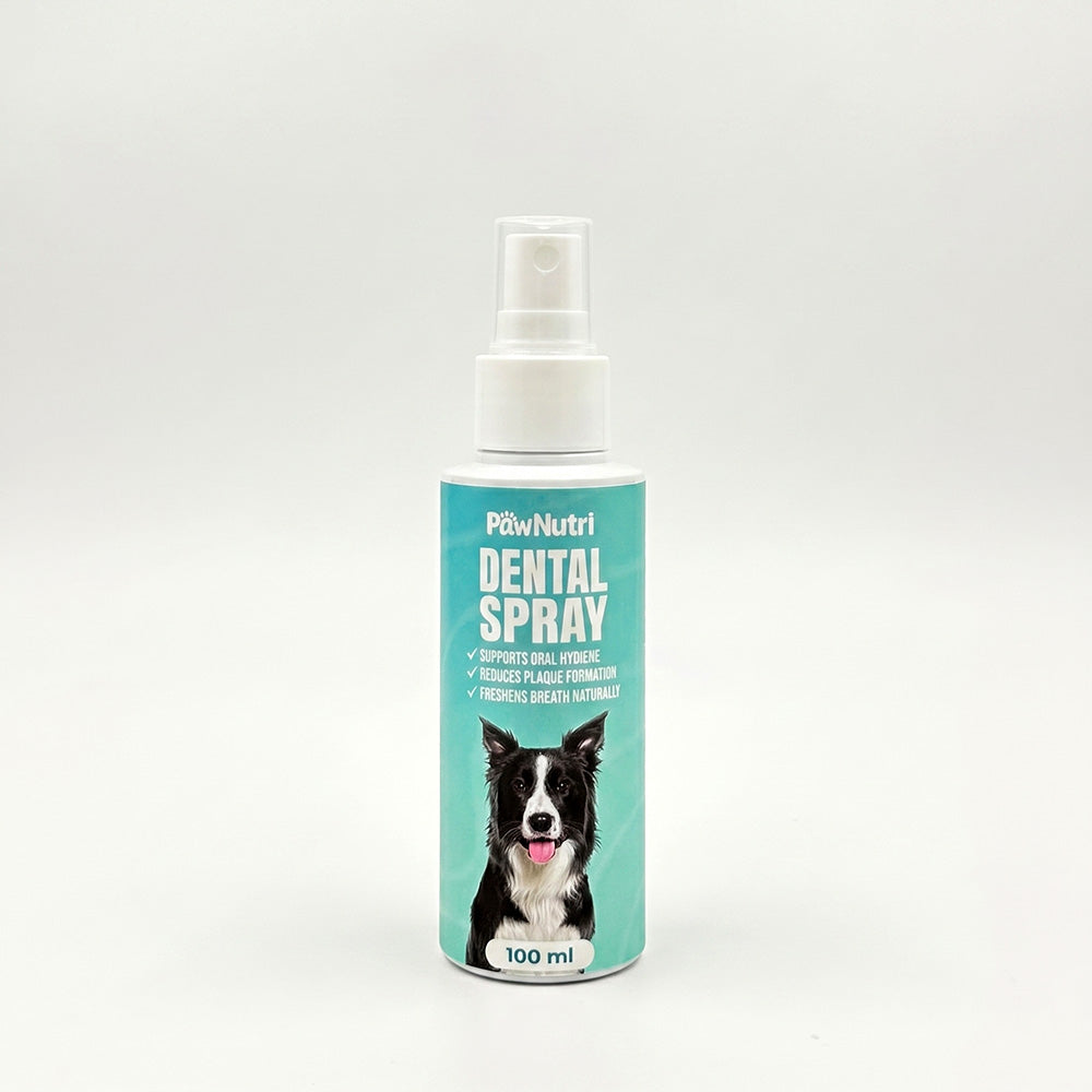 Dental Spray