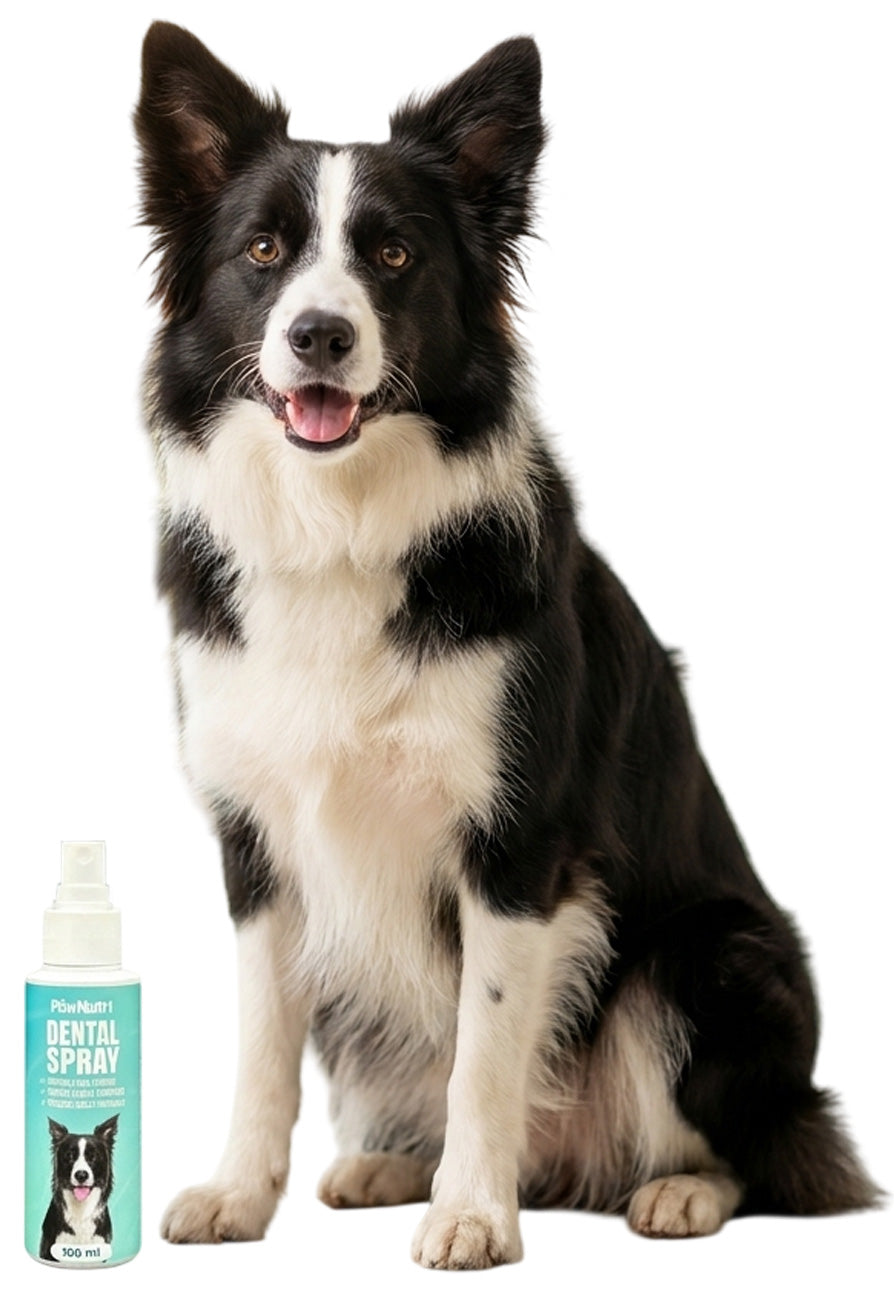 Dental Spray