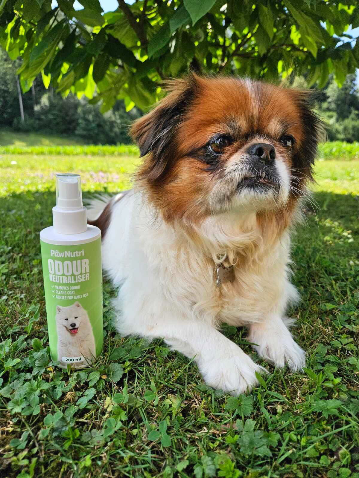 Odour Neutraliser