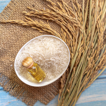 Oryza Sativa Bran Wax
