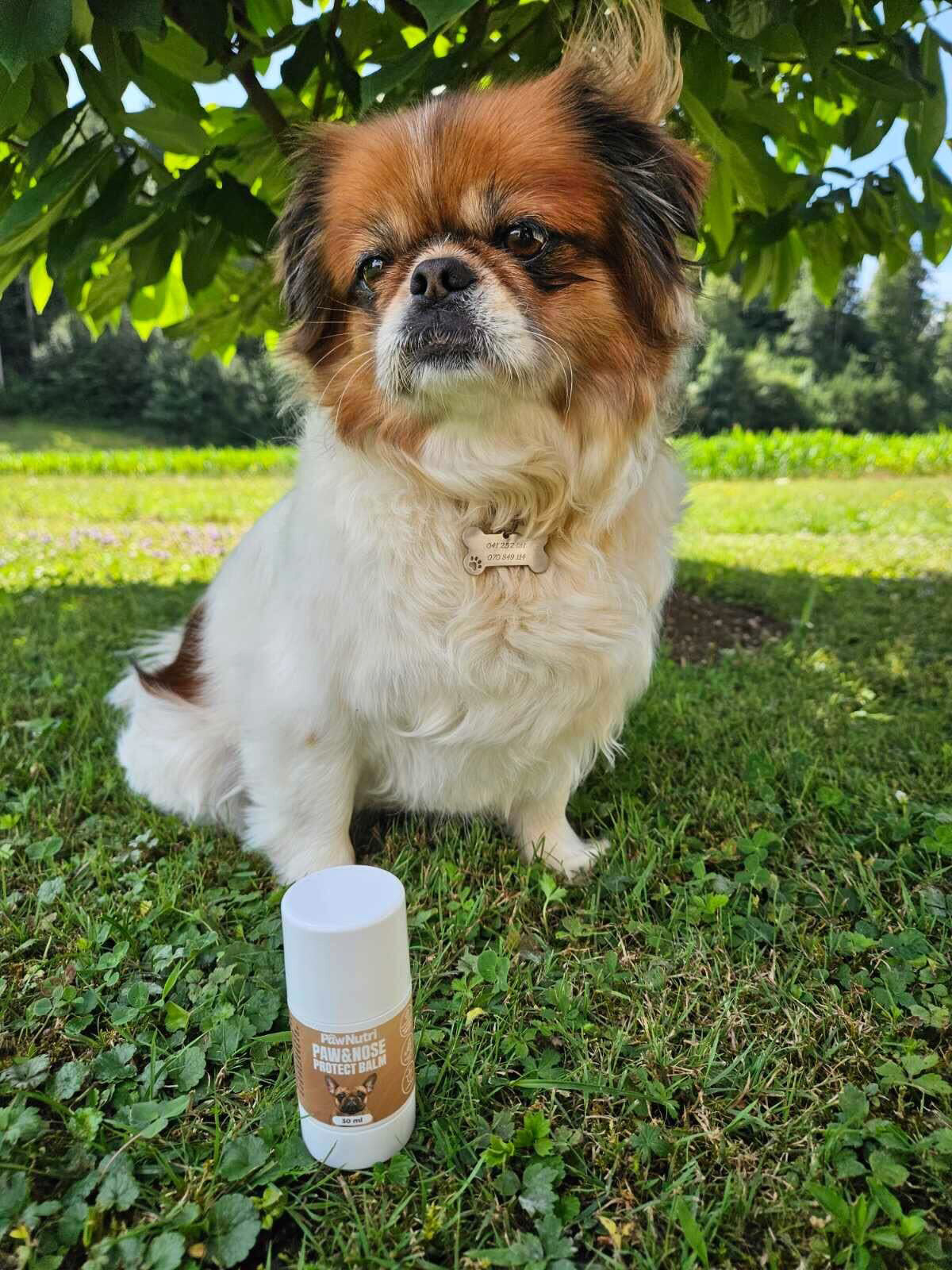 Paw & Nose Protect Balm