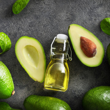 Persea Gratissima Oil