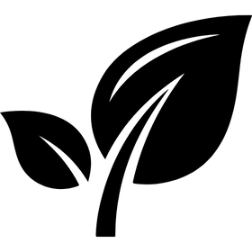 Vegan formula
